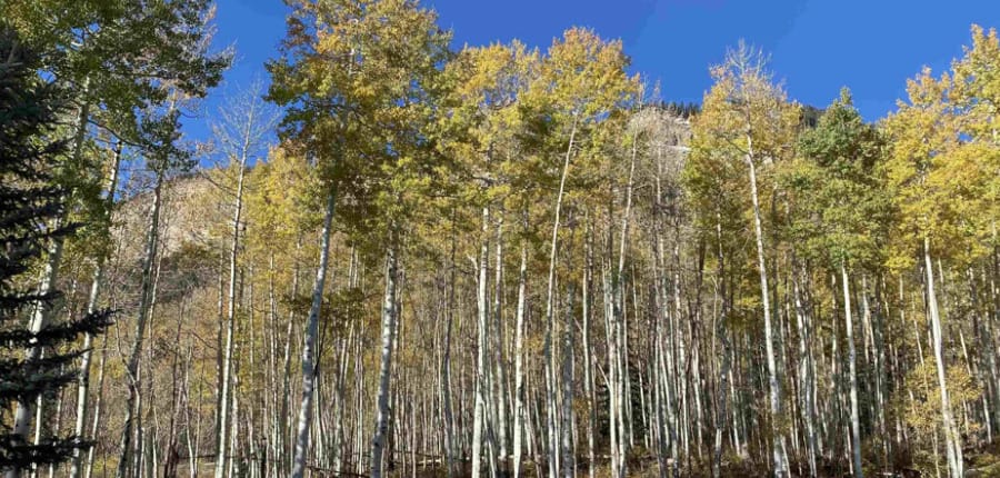 WINDOM_WEST_GATE_LOT_4_DURANGO_COLORADO_ASHER_CUSTOM_HOMES_25