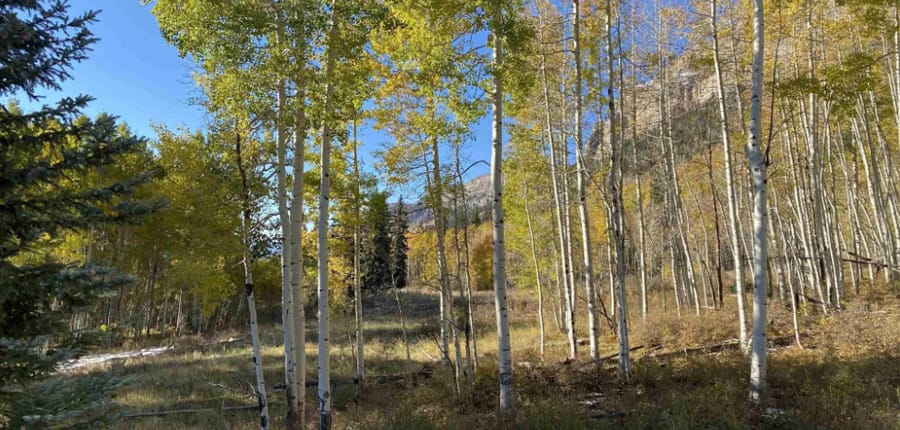 WINDOM_WEST_GATE_LOT_4_DURANGO_COLORADO_ASHER_CUSTOM_HOMES_31