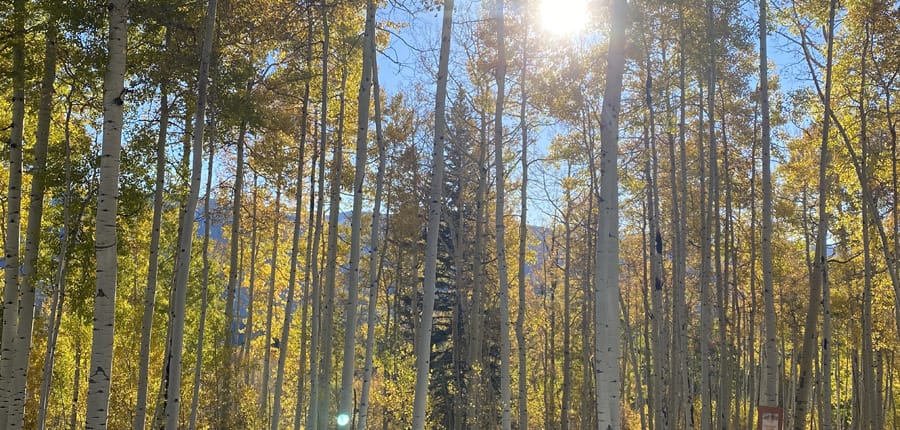 WINDOM_WEST_LOT_3_DURANGO_COLORADO_ASHER_CUSTOM_HOMES_13