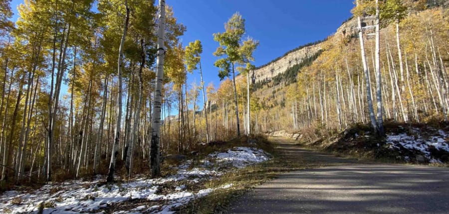 WINDOM_WEST_LOT_3_DURANGO_COLORADO_ASHER_CUSTOM_HOMES_27