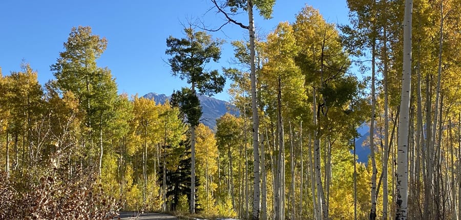 WINDOM_WEST_LOT_5_DURANGO_COLORADO_ASHER_CUSTOM_HOMES_11