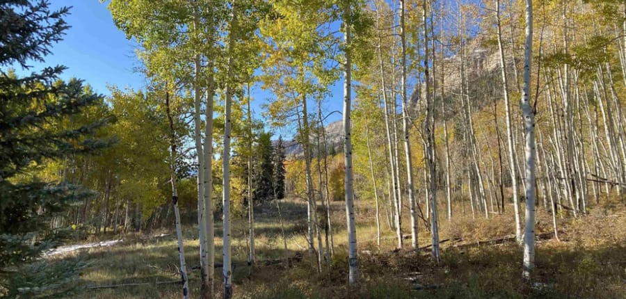 WINDOM_WEST_LOT_5_DURANGO_COLORADO_ASHER_CUSTOM_HOMES_29